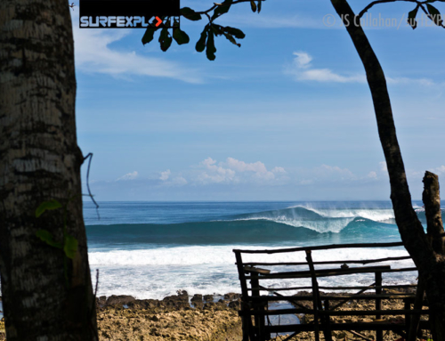 SurfEXPLORE 2013