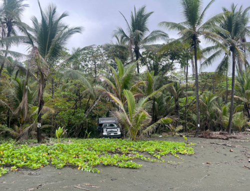 Cabo Matapalo, Costa Rica – 9 de Maio de 2024